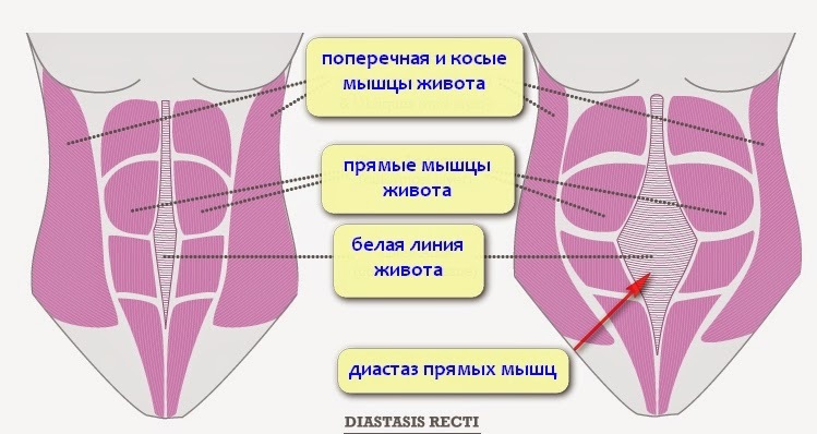 ÐÐ¾Ð²âÑÐ·Ð°Ð½Ðµ Ð·Ð¾Ð±ÑÐ°Ð¶ÐµÐ½Ð½Ñ